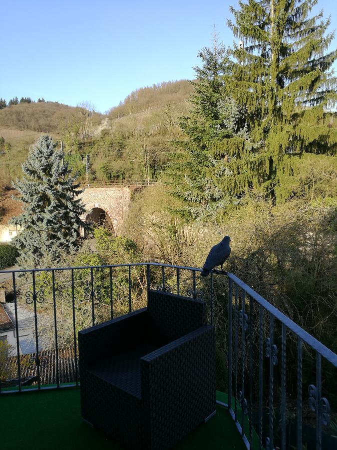 Gaestehaus Spies Bullay Exterior foto